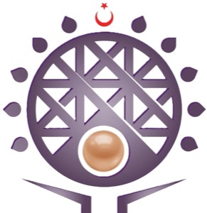 Turkish Board of Plastic Surgery verified