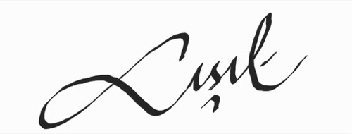 Dr. Cemil Işık's signature